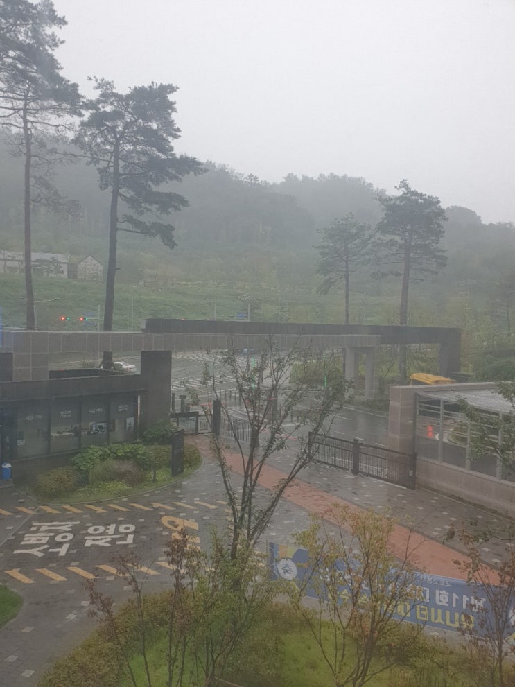  시원한 비오는 날