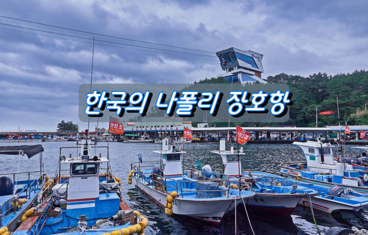 한국의 나폴리 삼척 장호항 풍경 한국의 나폴리 삼척 장호항 풍경