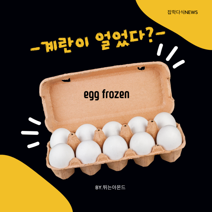  언계란.어떡해야 할까요?다양한 요리법 알려드릴께요~