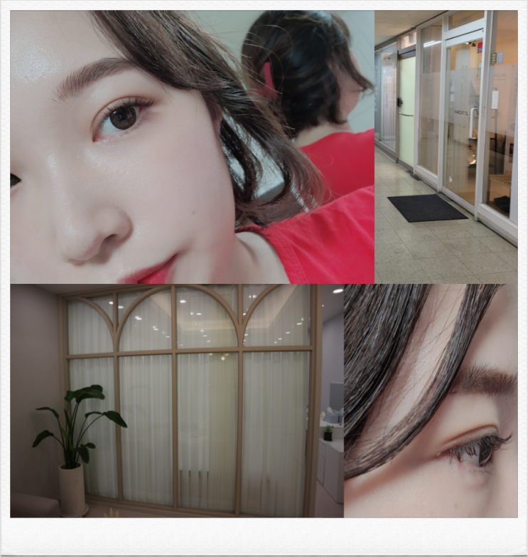 범계 속눈썹연장 미스브로우 다크브라운 C컬 후기 범계 속눈썹연장 미스브로우 다크브라운 C컬 후기