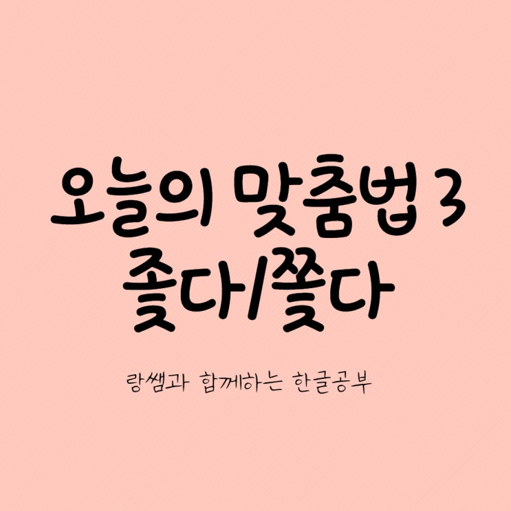  오늘의 맞춤법 3 좇다 쫓다