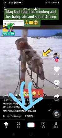  틱톡..가입 후 바로 현금 지급