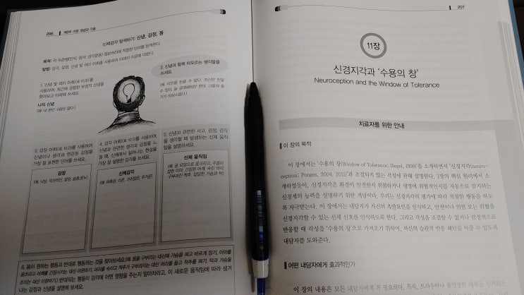  트라우마치료, 몸으로부터의 출발