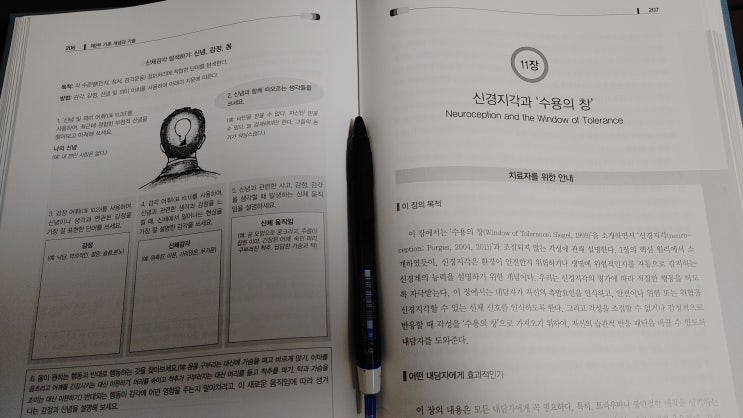 트라우마치료, 몸으로부터의 출발