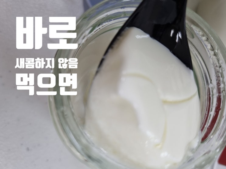  보만 요구르트 제조기, 집에서 만드는 요거트