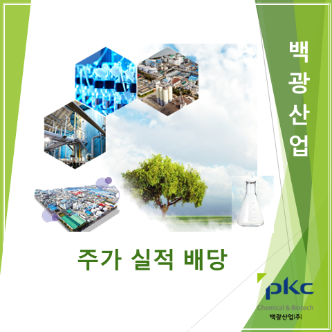 반도체용 특수가스 업체로 탈바꿈하는 백광산업 2분기 실적 주가 및 배당