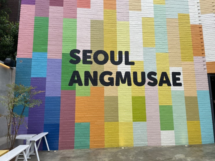  서울앵무새