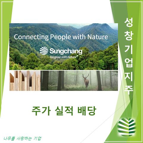  국내 합판사업 1위 성창기업지주 2분기 실적 주가 및 배당 (feat. 이재명 공공주택 테마, 친환경 보드)