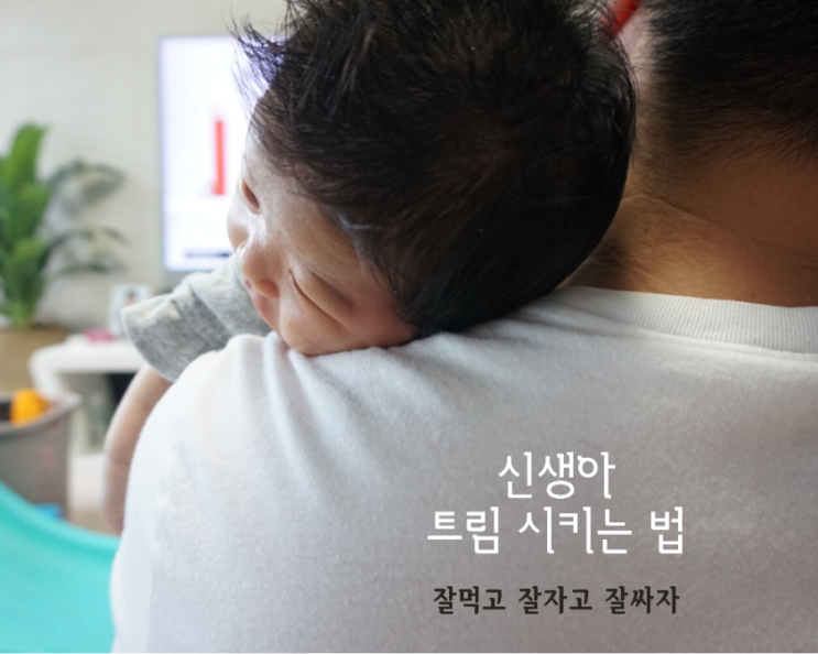  신생아 트림 시키기 잘먹고 잘싸고 잘자는 지름길!