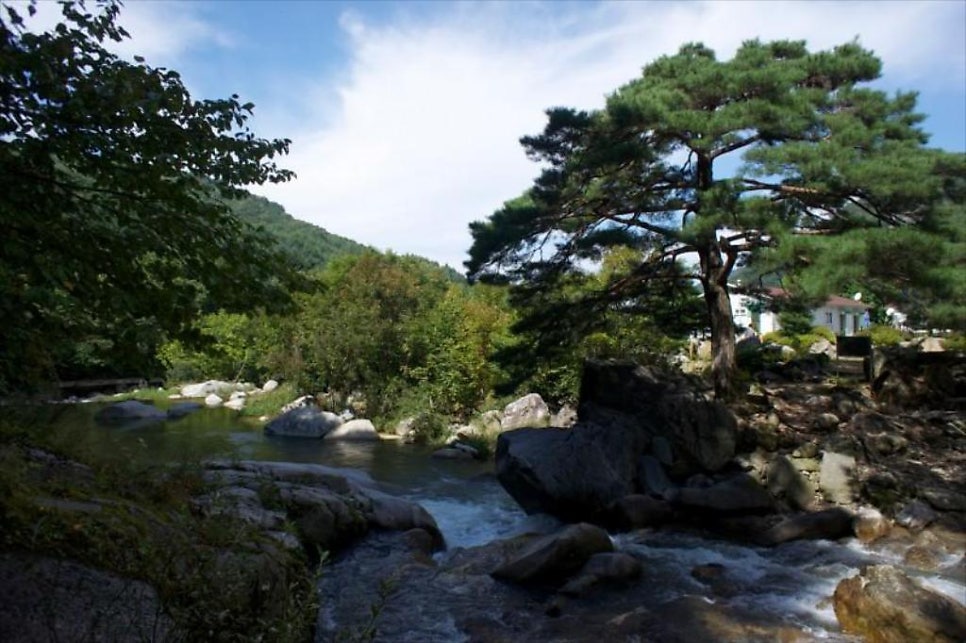 바위솔펜션 사진 1