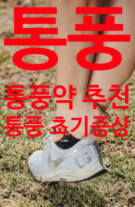  통풍약 추천, 초기증상, 치료 가능성?