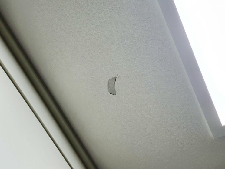  과탄산소다 폭발 사고! 사용법, 위험성, 주의사항