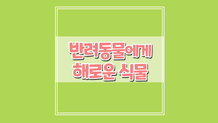  반려동물에게 해로운 식물의 종류, 독성이 있는 식물 종류