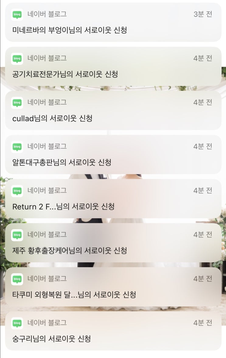  제 블로그는 매크로 맛집인가요?