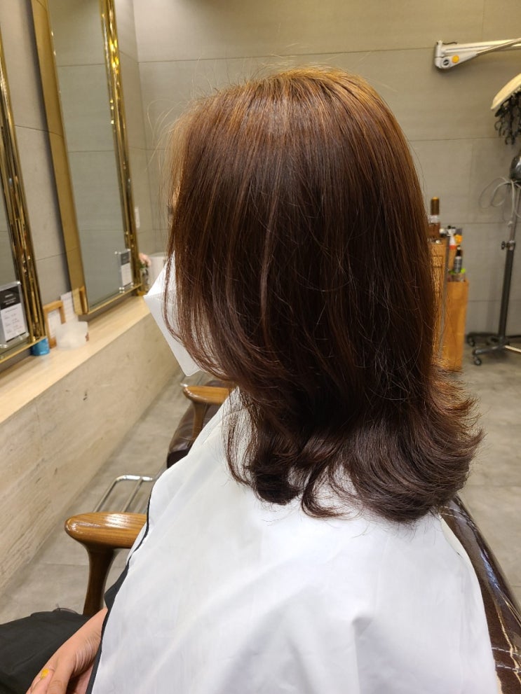  킨텍스미용실 이가자헤어비스  일산킨텍스홈플러스점 빌드펌후기