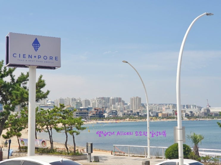  [울산 동구 카페] 울산 동구 일산지 신상카페 - 씨엔포레 - 리뷰