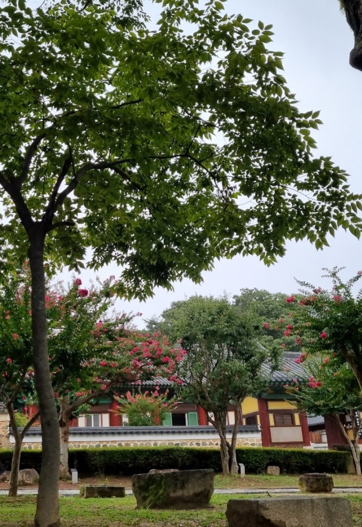  당일치기 언택트 사찰여행 (양산 통도사)