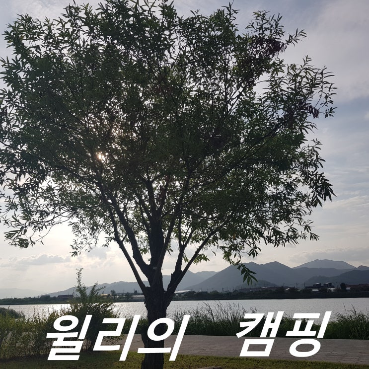  캠핑의 계절@가을@ 1. 대저수문 생태공원