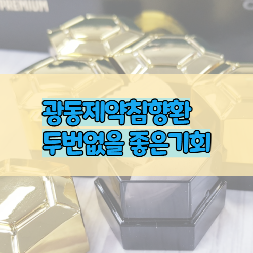 광동침향원 (침향단) 광동제약 김영철 광고