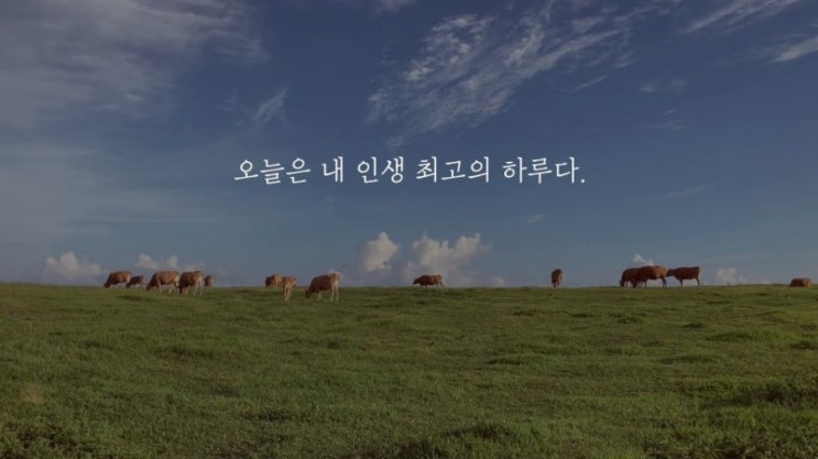  210818 일기 : 오늘은 내 인생 최고의 하루다
