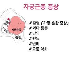  여성질환 자궁근종 원인주요증상 약물수술치료 근종적출술 자궁절제술 월경과다출혈 합병증예후 간호케이스