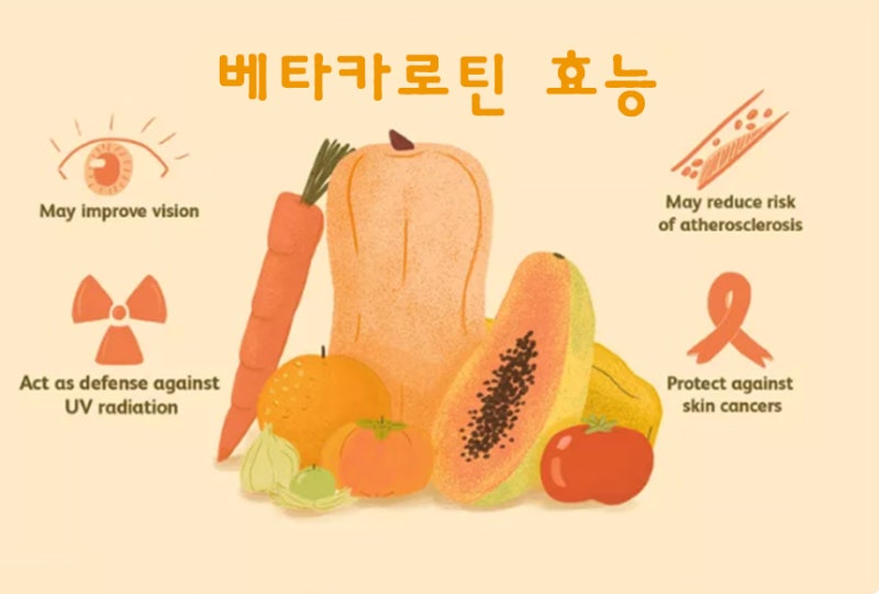 베타카로틴의 10가지 효능을 알려드리겠습니다!