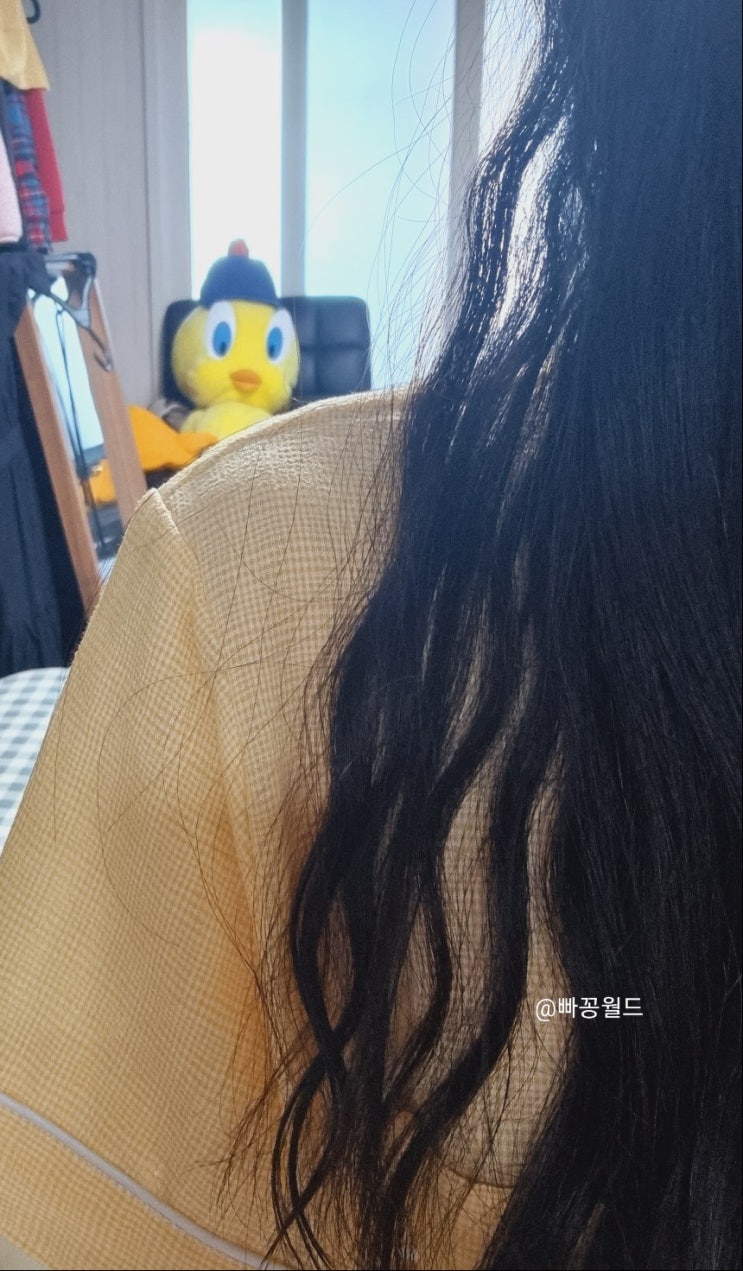 메두사