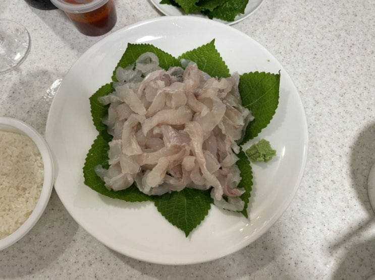  <울진 회포장> 울진 후포 어시장 회도메센터에서 회 포장해왔어요!