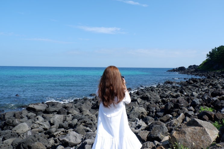  2021 여름 제주