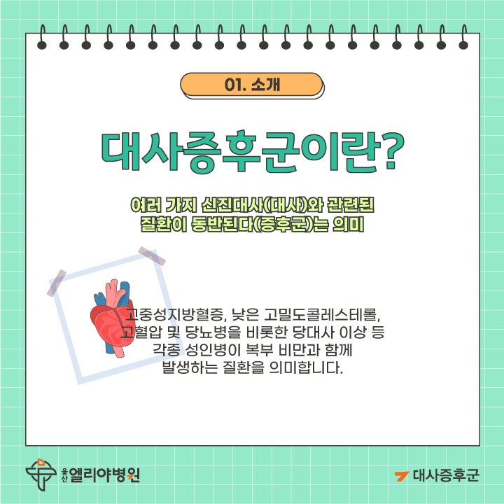 대사증후군이란? 대사증후군 원인 검사 진단 치료예방식단 다그다몰닥터다이어리