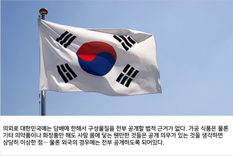  알아둬도 딱히 쓸모는 없는 담배 지식