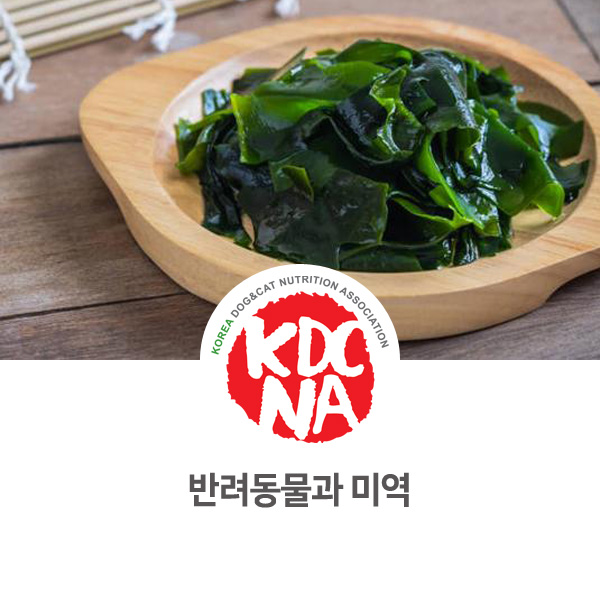  강아지 미역 집밥 활용법 [펫푸드자격증/애견수제간식/광주/목포/나주/청주/담양]_850