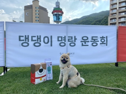  댕댕이 명랑 운동회에 참가한 참가상 전문 노꼬미