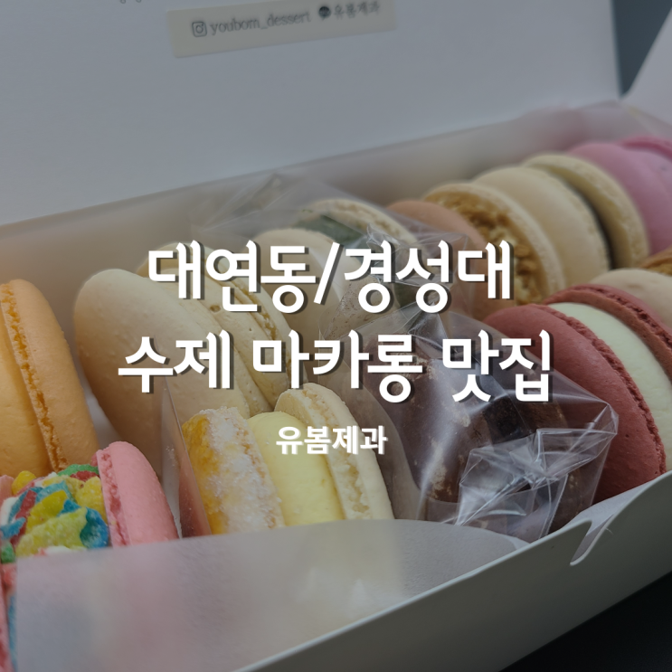  경성대마카롱, 유봄제과 맛있는 수제 대연동마카롱