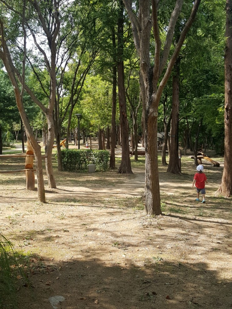 [4세+3세 연년생 가정보육 8월 봄나들이/야외활동] 난지천공원 내 유아숲체험원