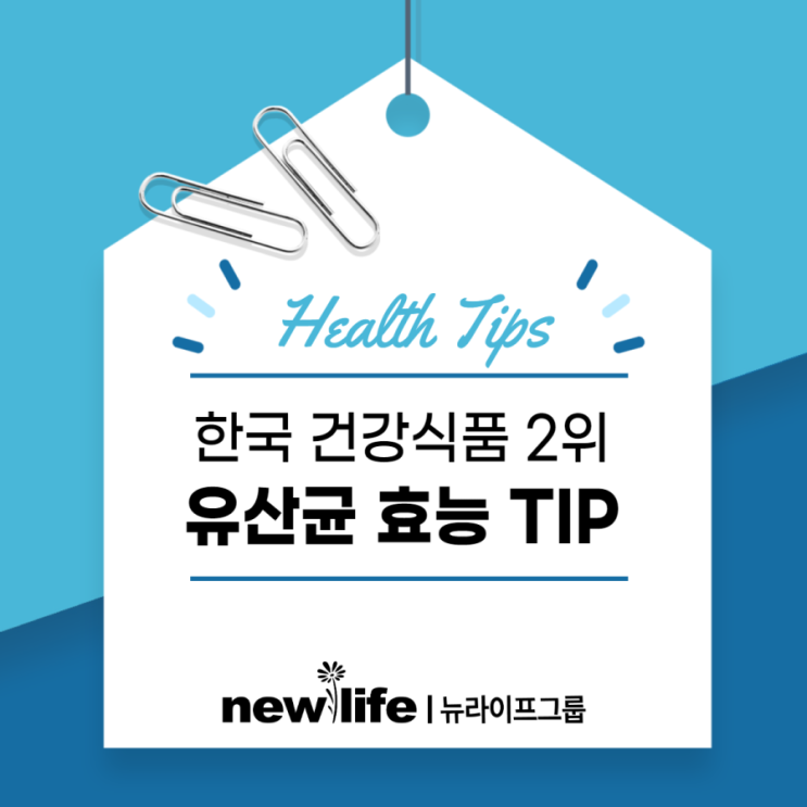 한국 건강식품 2위 유산균 효능 TIP