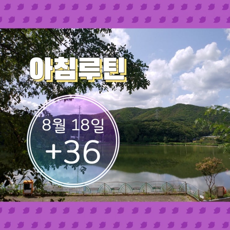  8월 18일 아침루틴