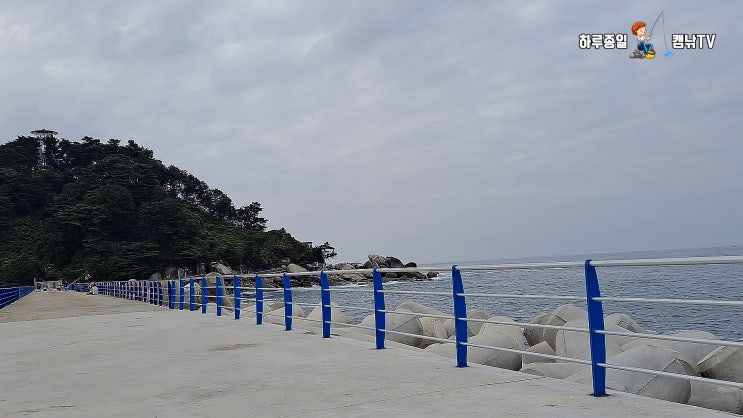  강원도 양양 원투낚시. 양양 인구항 으로 초보 원투낚시 출조. 인구항방파제 에서 장어낚시