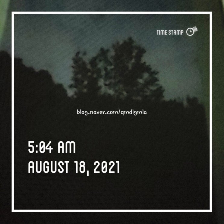  미라클모닝 31일차!