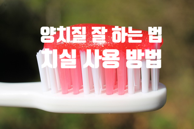  양치질 잘 하는 방법 (ft. 치실 사용법  칫솔) 치실은 이 닦기 전에 사용하세요.