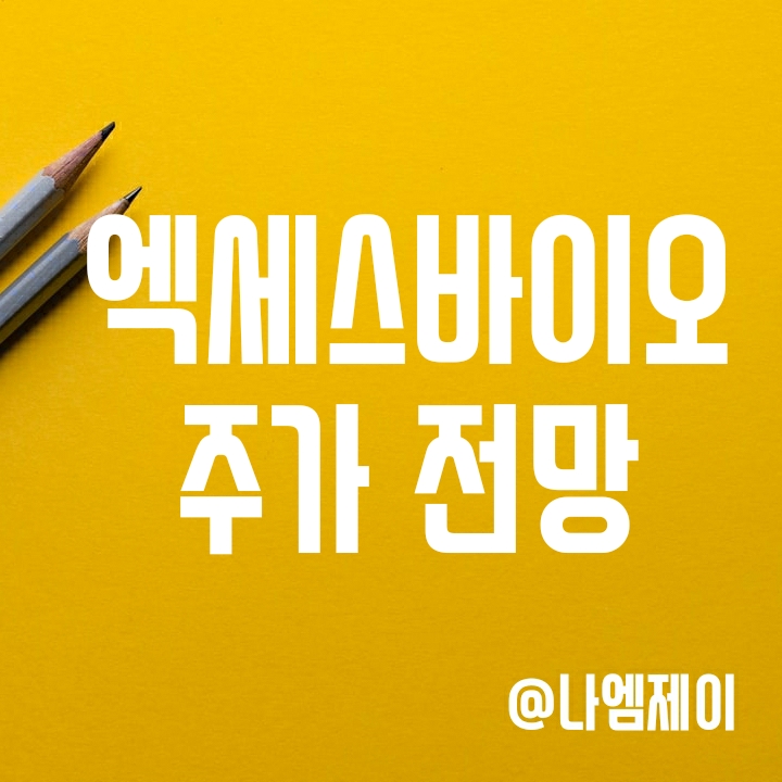 엑세스바이오 2분기 실적 - 매출 감소 원인 및 주가 전망 엑세스바이오 2분기 실적 - 매출 감소 원인 및 주가 전망
