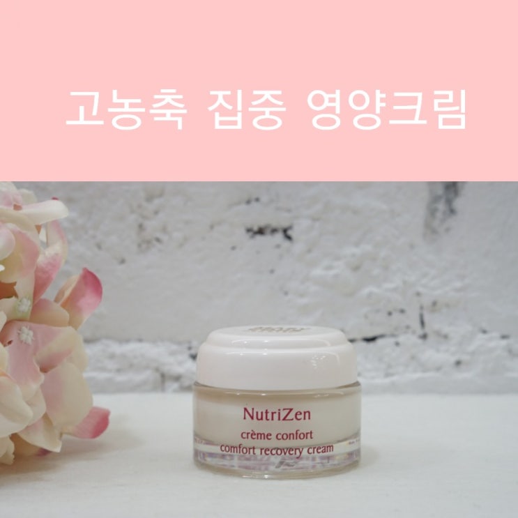  피부과 추천 영양크림 고농축 가을철 영양크림