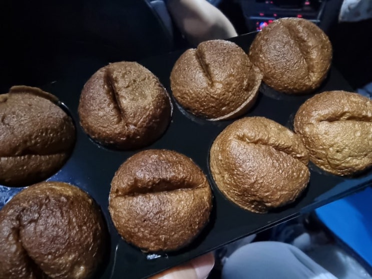  커피콩빵  강릉 안목해변 빵집