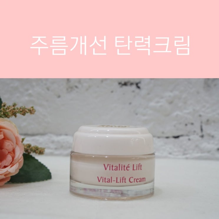  피부 주름 멜팅크림 탄력 탱탱   개선크림