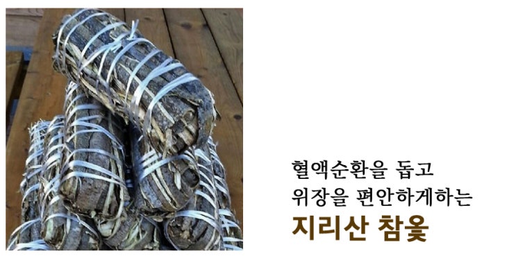  옻나무 효능. 지리산 참옻 껍질