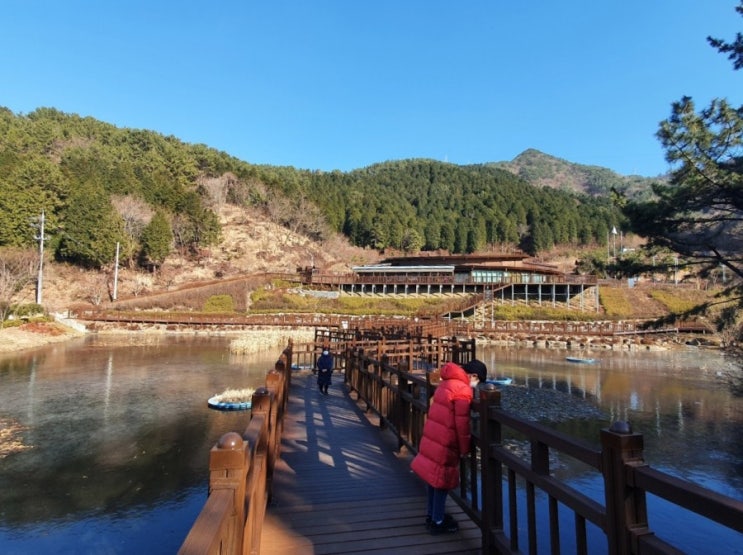  진해 가볼만한곳, 진해 드림파크와 목재문화체험장