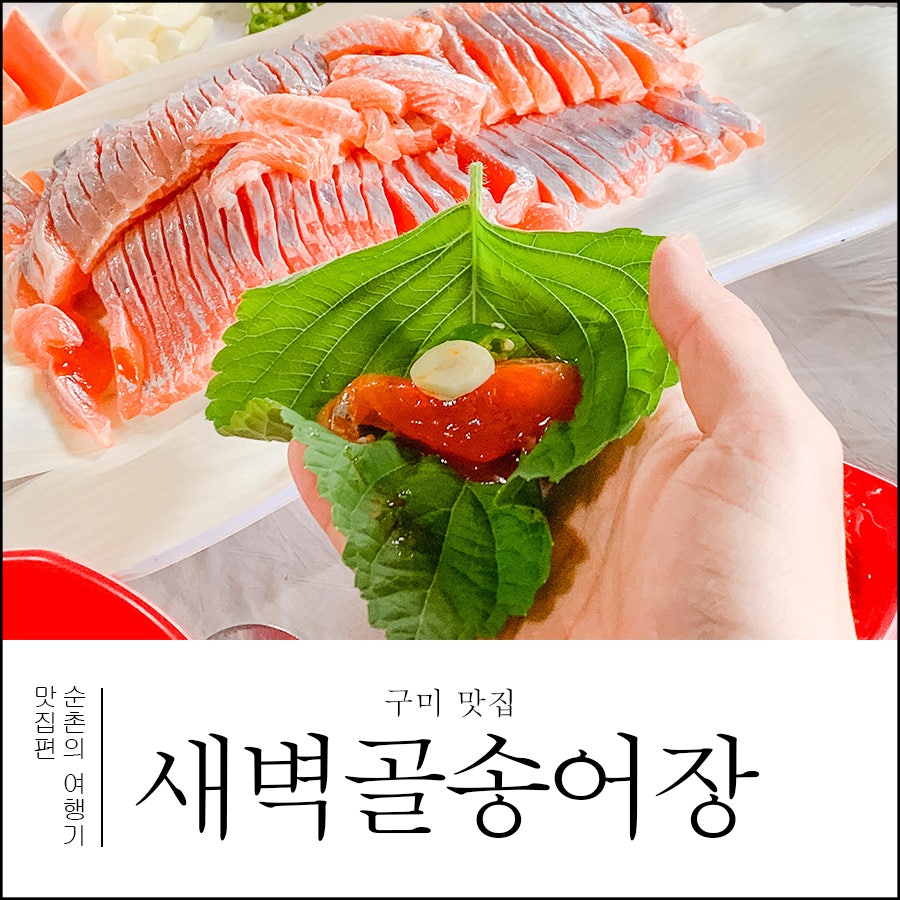 새벽골송어장 사진 1