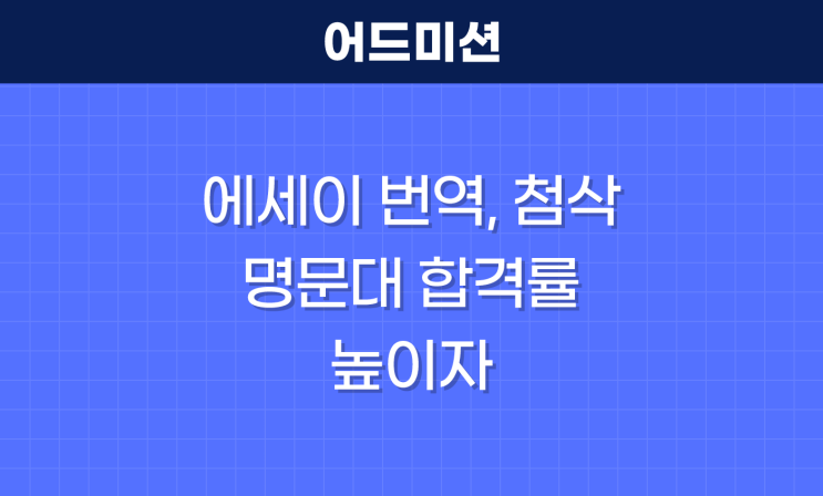  영어 에세이 번역, 첨삭받고 명문대 합격률 높이자