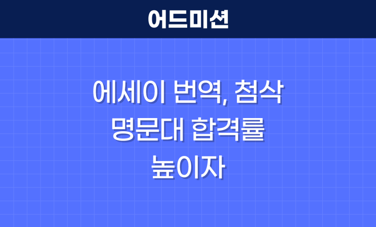 영어 에세이 번역, 첨삭받고 명문대 합격률 높이자