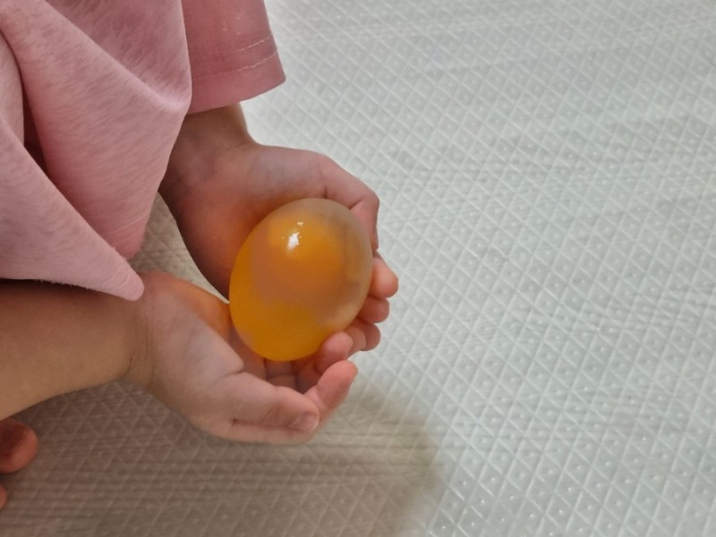 엄마표 과학놀이 계란 탱탱볼 만들기 -  어린이 과학실험